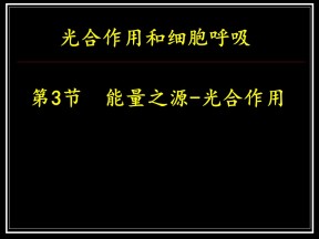 2018-2019学年苏教版必修1 细胞呼吸 课件（47张）