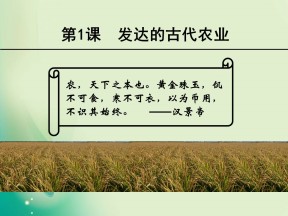 2018-2019学年人教版必修2 第一单元第1课 发达的古代农业 课件(共26张)