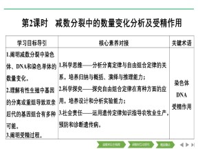 2018-2019学年人教版必修2 第2章 第1节 第2课时 减数分裂中的数量变化分析及受精作用 课件（33张）
