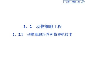 2018-2019学年人教版选修三  2．2　2．2.1　动物细胞培养和核移植技术 课件（39张）