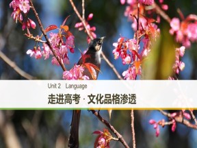 2019届高考英语译林版必修核心考点探究课件：Unit 2 核心素养提升