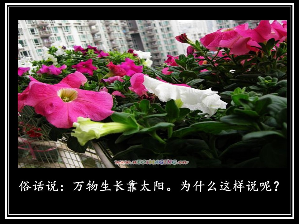 2018-2019学年苏教版必修1 细胞呼吸 课件（47张）第2页