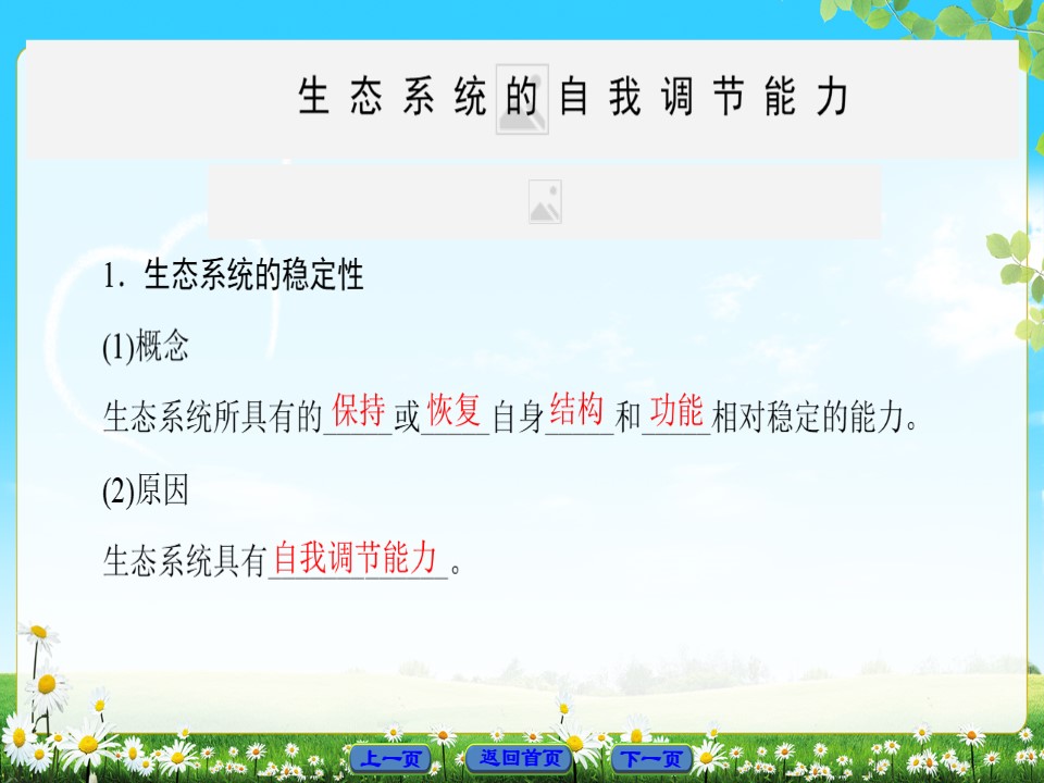 2018-2019学年 人教版必修3 生态系统的稳定性 课件（51张）第3页