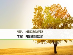 2018-2019学年人民版必修3 专题八 3 打破隔离的坚冰 课件（37张）