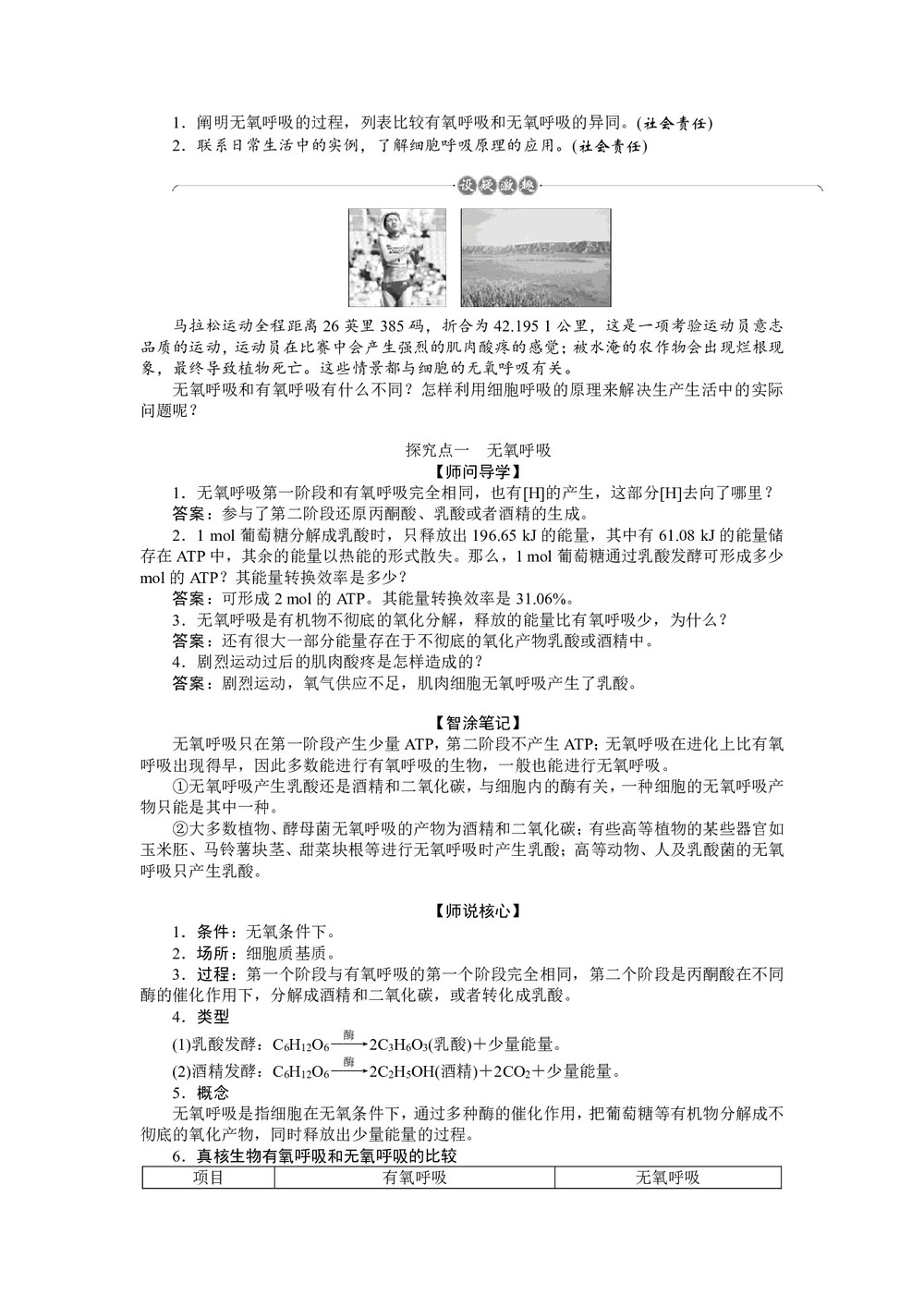 2019-2020学年人教版必修1 5.3.2 ATP的主要来源——细胞呼吸(二) 学案第2页