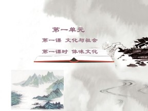 2019-2020学年人教版高中政治必修三1.1体味文化 课件(27张)