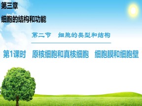 2018-2019学年苏教版必修一  第3章 第2节 第1课时 原核细胞和真核细胞 细胞膜和细胞壁 课件（52张）