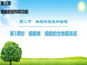 2018-2019学年苏教版必修一  第3章 第2节 第3课时 细胞核 细胞的生物膜系统 课件（51张）