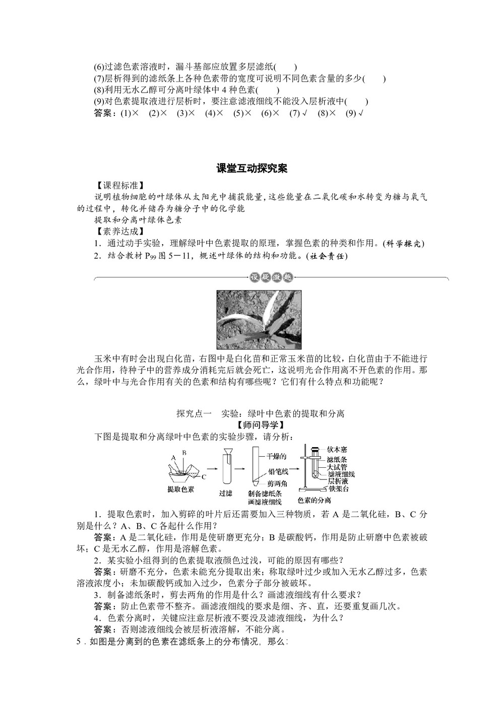 2019-2020学年人教版必修1 5.4.1 捕获光能的色素和结构 学案(1)第3页