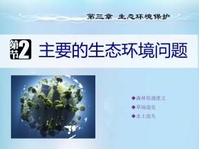 2019-2020学年湘教版高中地理选修6课件：3.2主要的生态环境问题2（37张）