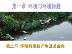 2019-2020学年中图版高中地理选修6课件：1.2《环境问题的产生及其危害》课件(共39张PPT)