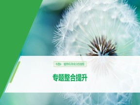 2019-2020学年 人教版 选修1植物有效成分的提取 课件  （28张）