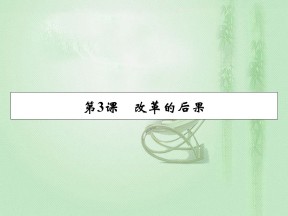 2019-2020学年人教版选修1 第6单元 第3课改革的后果 课件（22张）