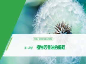 2019-2020学年 人教版 选修1植物芳香油的提取 课件  （37张）