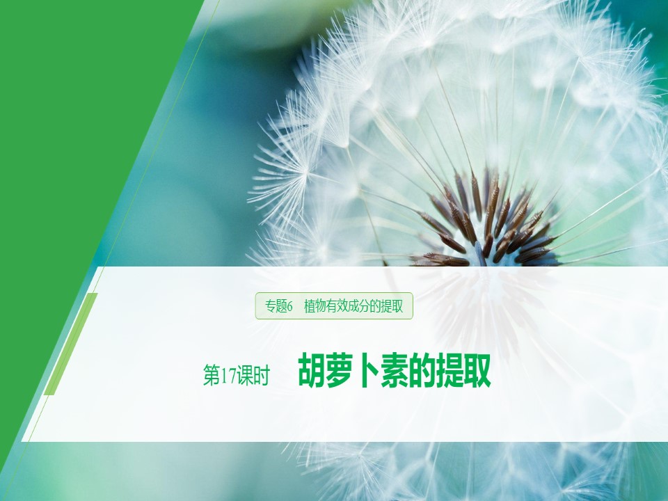 2019-2020学年 人教版 选修1胡萝卜素的提取 课件  （36张）第1页