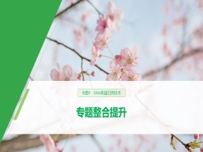 2019-2020学年 人教版 选修1DNA和蛋白质技术 课件  （38张）