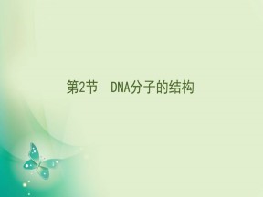 2019-2020学年人教版必修二 3.2DNA分子的结构 课件（69张）
