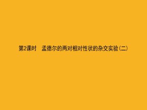 2019-2020学年 人教版 必修2 孟德尔的两对相对性状的杂交实验（二） 课件  （92张）