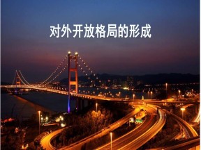 2019-2020学年岳麓版必修2：第20课 对外开放格局的形成【课件】（31张）