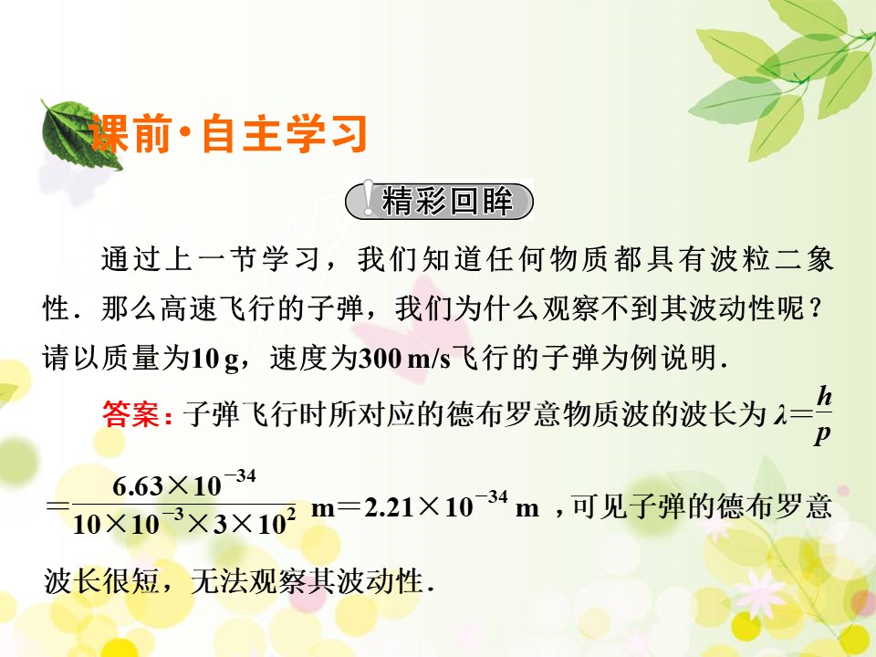 2019-2020学年人教版选修3-5 第17章 4、5 概率波　不确定性关系 课件（26张）第2页