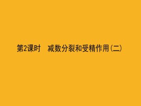 2019-2020学年 人教版 必修2 减数分裂和受精作用（二） 课件  （64张）
