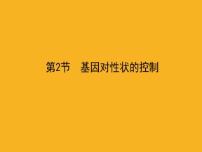 2019-2020学年 人教版 必修2基因对性状的控制   课件  （83张）
