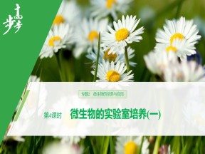 2019-2020学年 人教版 选修1 微生物的实验室培养(一)  课件  （34张）