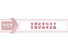 2019-2020学年新苏教版选修1 第四章 第一节 第1课时　蛋白质的分离与提取 课件（51张）