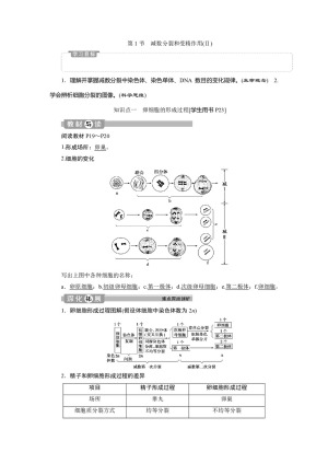 2019-2020学年新人教版必修2 第2章 第1节　减数分裂和受精作用(Ⅱ) 学案