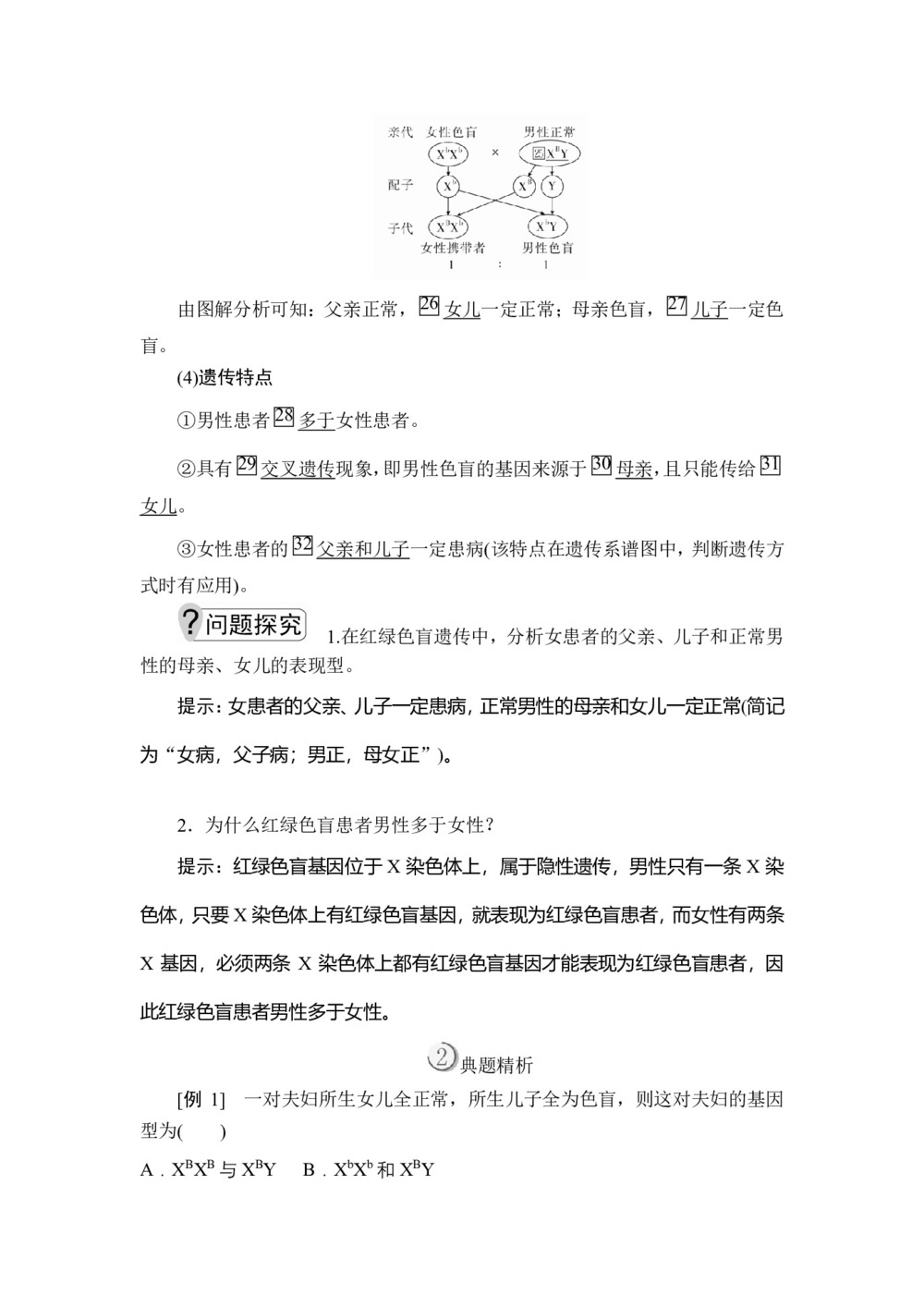 2019-2020学年人教版必修2 第2章  第3节 伴性遗传 学案(1)第3页