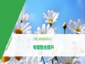 2019-2020学年 人教版 选修1 植物的组织培养技术 课件  （30张）