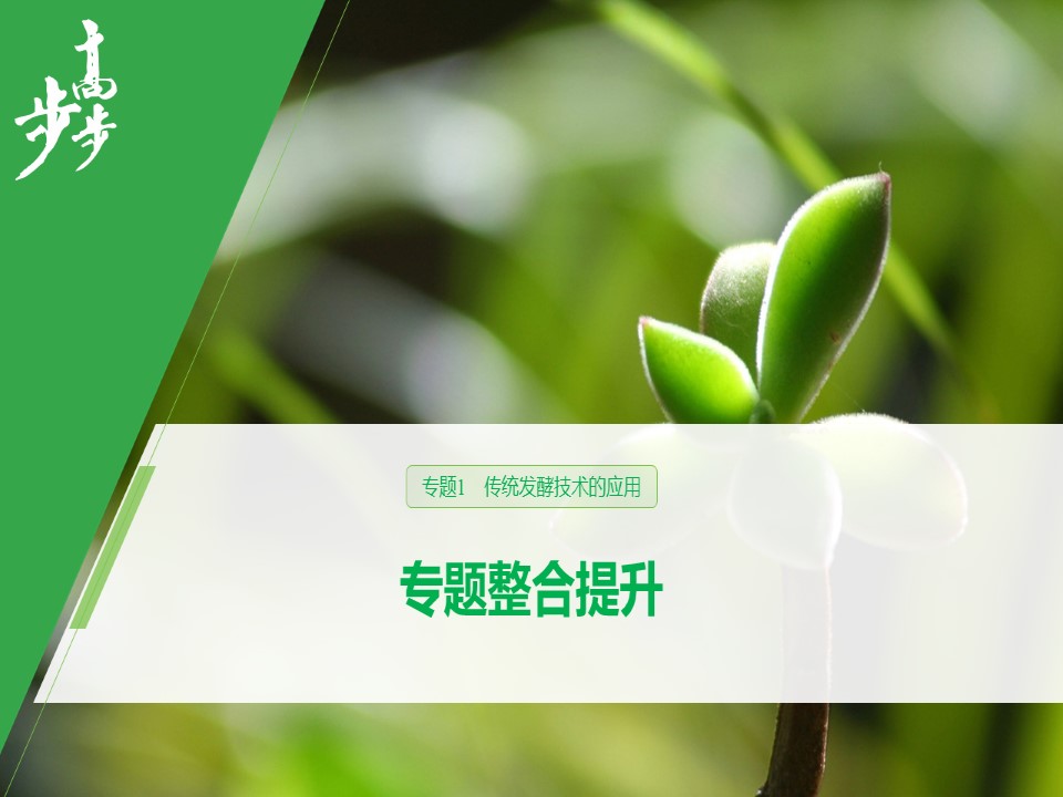 2019-2020学年 人教版 选修1 传统发酵技术  课件  （29张）第1页