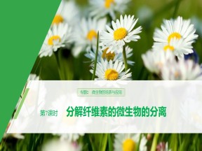 2019-2020学年 人教版 选修1 分解纤维素的微生物的分离 课件  （40张）