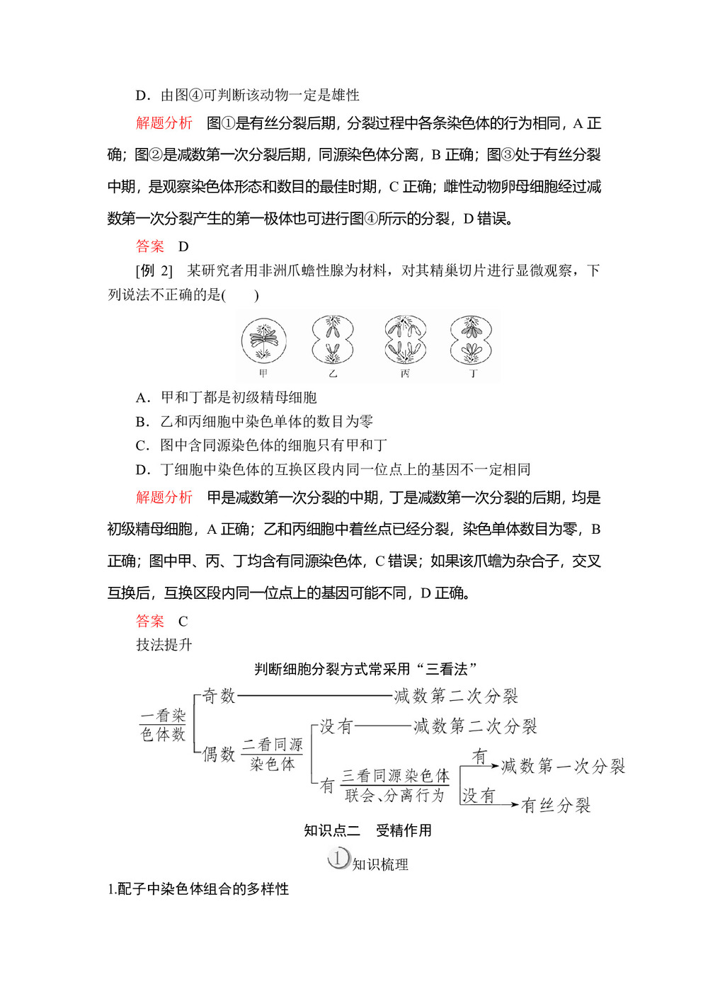 2019-2020学年人教版必修2 第2章  第1节  第3课时 细胞分裂图像判定、受精作用 学案(1)第3页