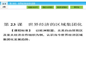 2019-2020学年人教版必修二 第23课　世界经济的区域集团化 课件（42张）