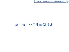 2019-2020学年新苏教版选修1 第四章 第二节 分子生物学技术 课件（50张）