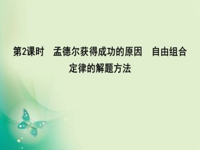 2019-2020学年人教版必修二 第1章　第2节　第2课时　孟德尔获得成功的原因　自由组合定律的解题方法 课件（35张）