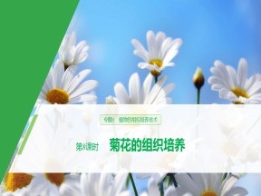 2019-2020学年 人教版 选修1 菊花的组织培养 课件  （40张）