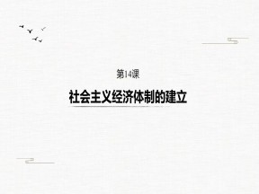 2019-2020学年岳麓版必修二：第14课 社会主义经济体制的建立【课件】（38张）