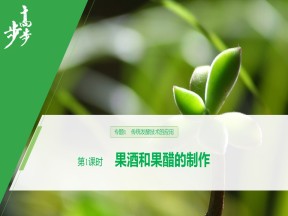 2019-2020学年 人教版 选修1 果酒和果醋的制作   课件  （41张）