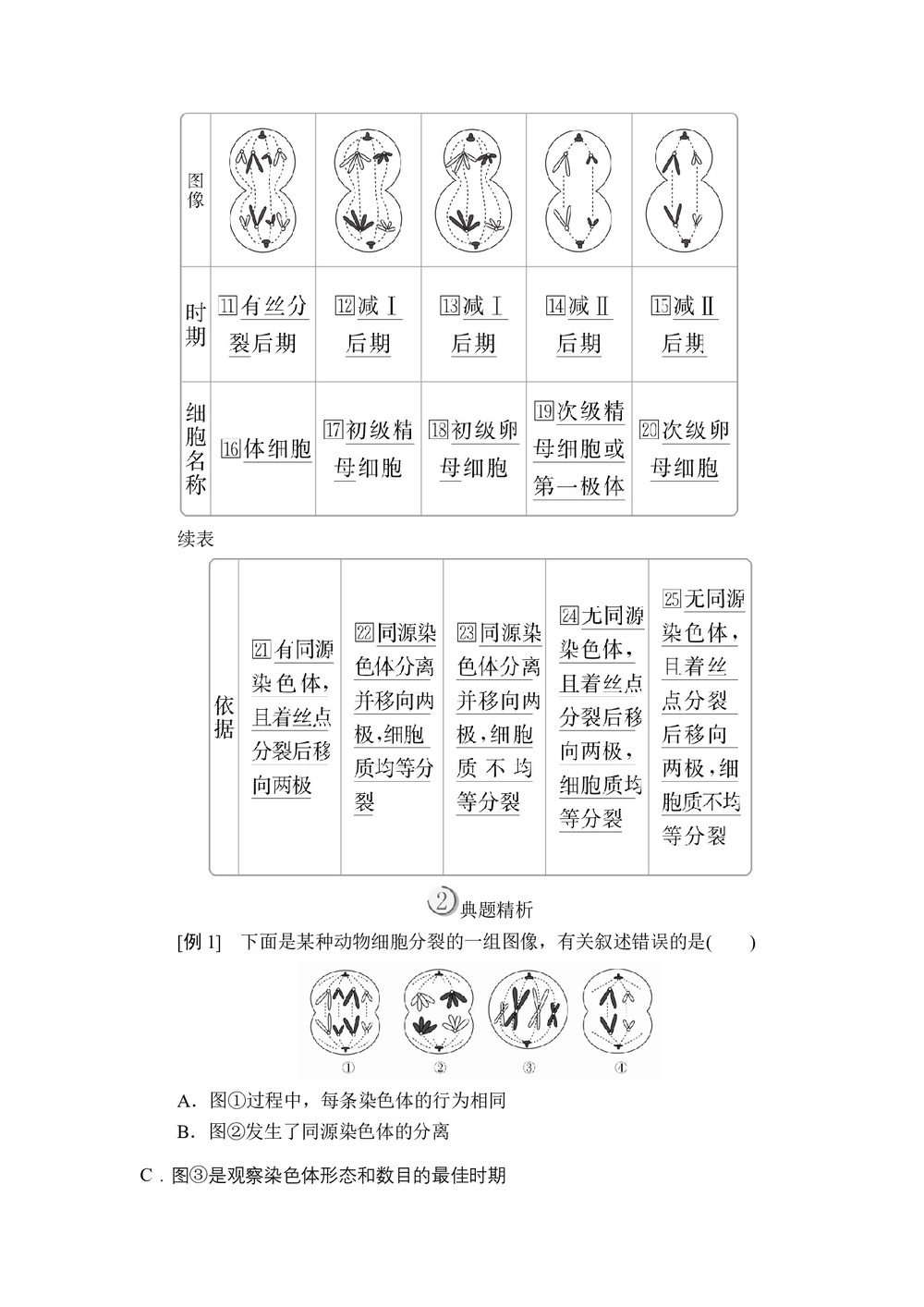 2019-2020学年人教版必修2 第2章  第1节  第3课时 细胞分裂图像判定、受精作用 学案(1)第2页