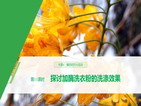 2019-2020学年 人教版 选修1 探讨加酶洗衣粉的洗涤效果 课件  （30张）