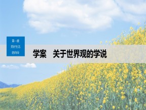 2019-2020学年人教A版新素养导学同步人教版（浙江专用）高中政治必修四课件：第一单元 生活智慧与时代精神 第一课 课件（52张）