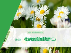 2019-2020学年 人教版 选修1 微生物的实验室培养(二) 课件  （38张）