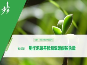 2019-2020学年 人教版 选修1 制作泡菜并检测亚硝酸盐含量  课件  （38张）