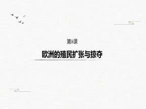 2019-2020学年岳麓版必修二：第8课 欧洲的殖民扩张与掠夺【课件】（32张）