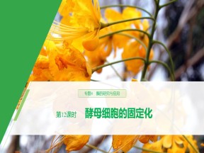 2019-2020学年 人教版 选修1 酵母细胞的固定化 课件  （45张）