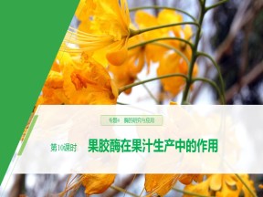 2019-2020学年 人教版 选修1 果胶酶在果汁生产中的作用 课件  （29张）