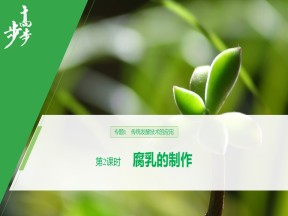 2019-2020学年 人教版 选修1 腐乳的制作  课件  （44张）