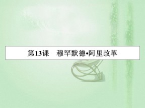 2019-2020学年岳麓版选修1 第13课 穆罕默德·阿里改革 课件（29张）